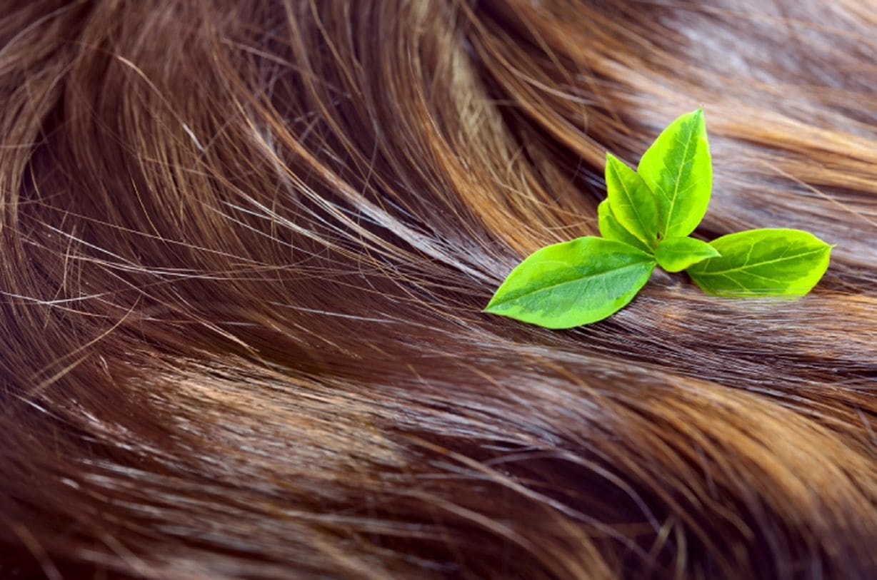Dorka Hair Salon